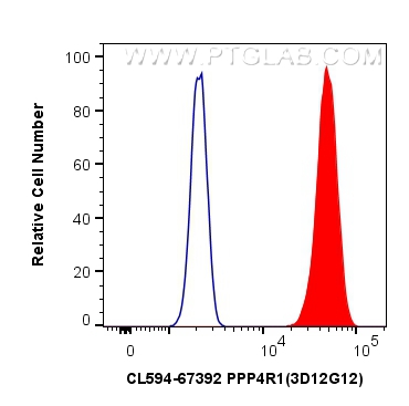 Flow cytometry (FC) experiment of HeLa cells using CoraLite®594-conjugated PPP4R1 Monoclonal antibody (CL594-67392)