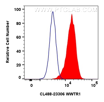 Flow cytometry (FC) experiment of HeLa cells using CoraLite® Plus 488-conjugated PRICKLE1 Polyclonal  (CL488-22589)