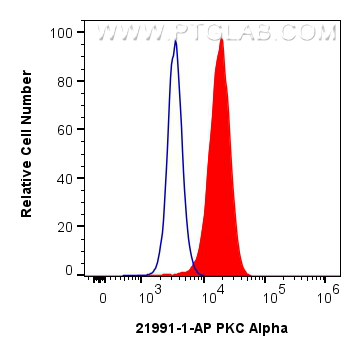 Flow cytometry (FC) experiment of Jurkat cells using PKC Alpha Polyclonal antibody (21991-1-AP)