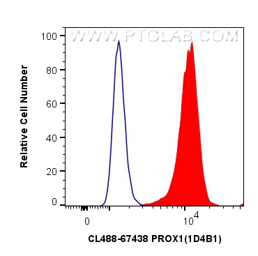 Flow cytometry (FC) experiment of HepG2 cells using CoraLite® Plus 488-conjugated PROX1 Monoclonal ant (CL488-67438)