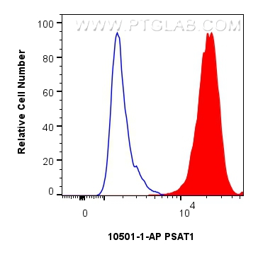 Flow cytometry (FC) experiment of HepG2 cells using PSAT1 Polyclonal antibody (10501-1-AP)