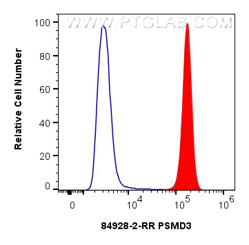 Flow cytometry (FC) experiment of A549 cells using PSMD3 Recombinant antibody (84928-2-RR)