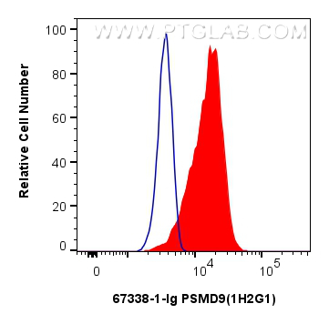 Flow cytometry (FC) experiment of HeLa cells using PSMD9 Monoclonal antibody (67338-1-Ig)