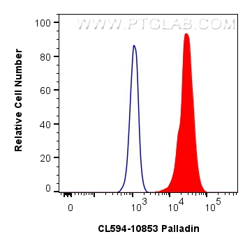 Flow cytometry (FC) experiment of HeLa cells using CoraLite®594-conjugated Palladin Polyclonal antibo (CL594-10853)