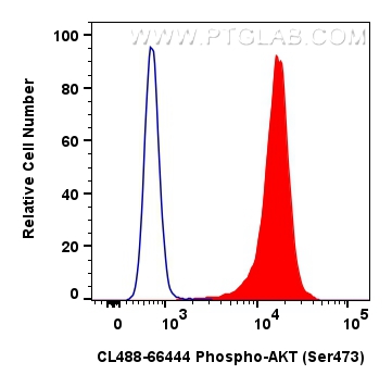 Flow cytometry (FC) experiment of HEK-293T cells using CoraLite® Plus 488-conjugated Phospho-AKT (Ser473) (CL488-66444)