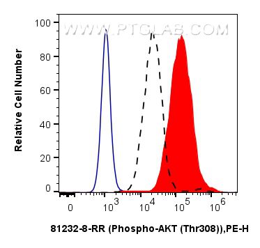 Flow cytometry (FC) experiment of HeLa cells using Phospho-AKT (Thr308) Recombinant antibody (81232-8-RR)