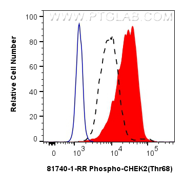 Flow cytometry (FC) experiment of PC-3 cells using Phospho-CHEK2 (Thr68) Recombinant antibody (81740-1-RR)