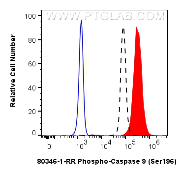 Flow cytometry (FC) experiment of HeLa cells using Phospho-Caspase 9 (Ser196) Recombinant antibody (80346-1-RR)