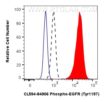 Flow cytometry (FC) experiment of A431 cells using CoraLite®594-conjugated Phospho-EGFR (Tyr1197) Rec (CL594-84906)