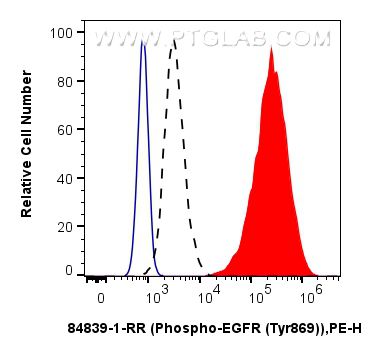 Flow cytometry (FC) experiment of A431 cells using Phospho-EGFR (Tyr869) Recombinant antibody (84839-1-RR)