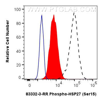 Flow cytometry (FC) experiment of HeLa cells using Phospho-HSP27 (Ser15) Recombinant antibody (83332-3-RR)