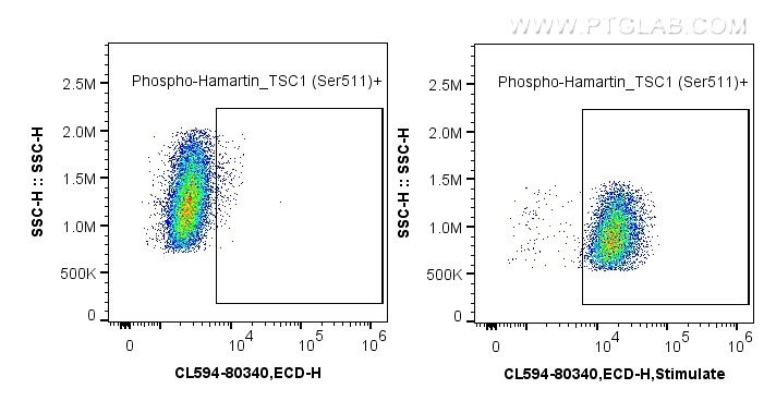 Flow cytometry (FC) experiment of HeLa cells using CoraLite®594-conjugated Phospho-Hamartin/TSC1 (Ser (CL594-80340)
