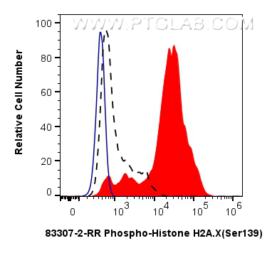 Flow cytometry (FC) experiment of Jurkat cells using Phospho-Histone H2A.X (Ser139) Recombinant antibod (83307-2-RR)