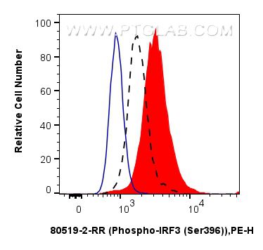 Flow cytometry (FC) experiment of HEK-293T cells using Phospho-IRF3 (Ser396) Recombinant antibody (80519-2-RR)