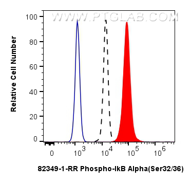 Flow cytometry (FC) experiment of HeLa cells using Phospho-IkB Alpha (Ser32/36) Recombinant antibody (82349-1-RR)