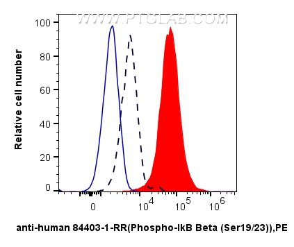 Flow cytometry (FC) experiment of HT-29 cells using Phospho-IkB Beta (Thr19/Ser23) Recombinant antibod (84403-1-RR)