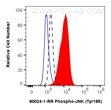 Flow cytometry (FC) experiment of HEK-293 cells using Phospho-JNK (Tyr185) Recombinant antibody (80024-1-RR)