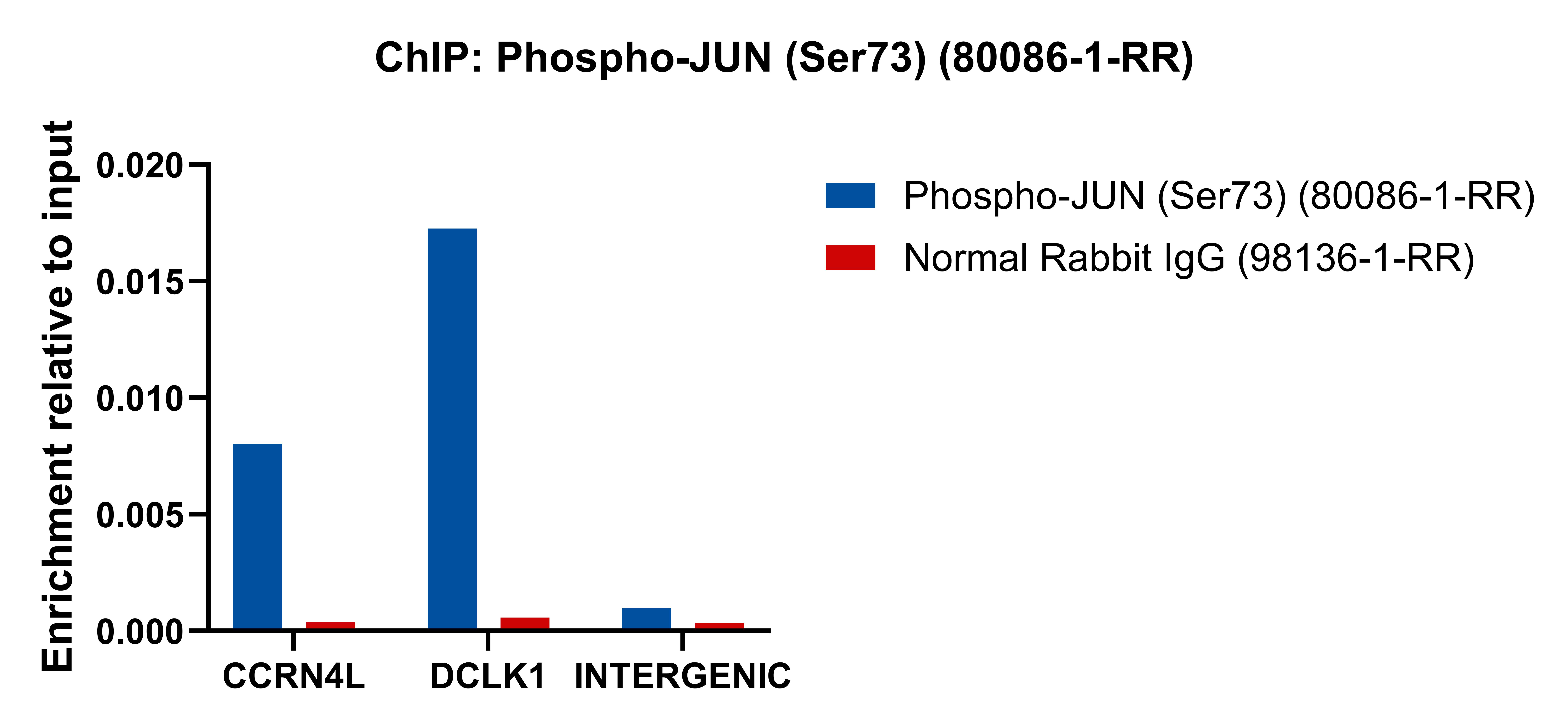 ChIP experiment of PC-12 cells using Phospho-JUN (Ser73) Recombinant antibody (80086-1-RR)