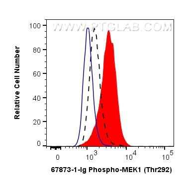 Flow cytometry (FC) experiment of HeLa cells using Phospho-MEK1 (Thr292) Monoclonal antibody (67873-1-Ig)