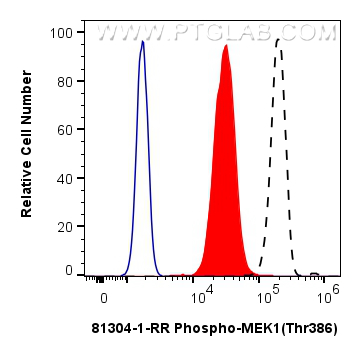 Flow cytometry (FC) experiment of HeLa cells using Phospho-MEK1 (Thr386) Recombinant antibody (81304-1-RR)