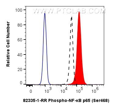 Flow cytometry (FC) experiment of NIH/3T3 cells using Phospho-NF-κB p65 (Ser468) Recombinant antibody (82335-1-RR)