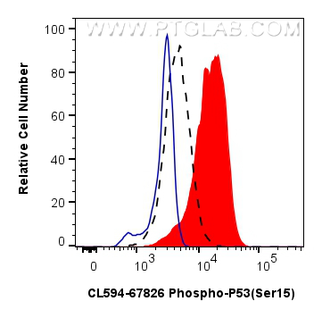Flow cytometry (FC) experiment of HT-29 cells using CoraLite®594-conjugated Phospho-P53 (Ser15) Monocl (CL594-67826)