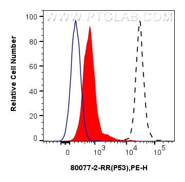 Flow cytometry (FC) experiment of HeLa cells using Phospho-P53 (Ser392) Recombinant antibody (80077-2-RR)