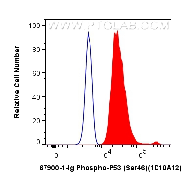 Flow cytometry (FC) experiment of HT-29 cells using Phospho-P53 (Ser46) Monoclonal antibody (67900-1-Ig)