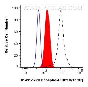 Flow cytometry (FC) experiment of HEK-293T cells using Phospho-PDH E1 Alpha (Ser232) Recombinant antibody (81491-1-RR)