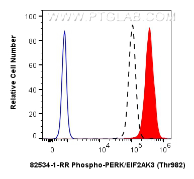 Flow cytometry (FC) experiment of HEK-293 cells using Phospho-PERK/EIF2AK3 (Thr982) Recombinant antibody (82534-1-RR)