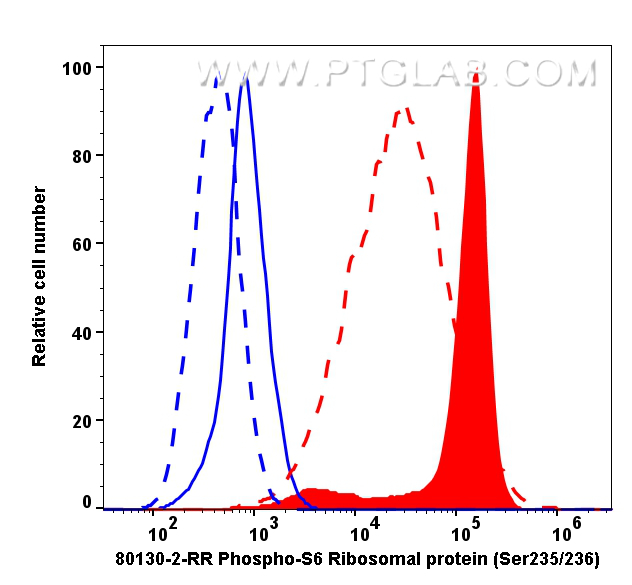 Flow cytometry (FC) experiment of HeLa cells using Phospho-S6 Ribosomal protein (Ser235/236) Recombin (80130-2-RR)