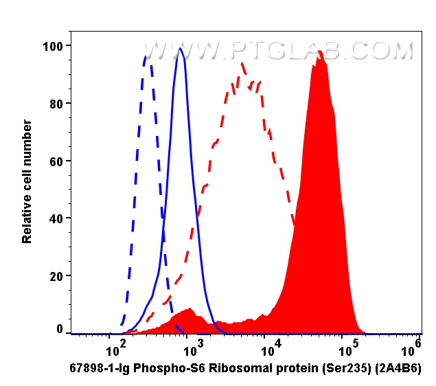 Flow cytometry (FC) experiment of HeLa cells using Phospho-S6 Ribosomal protein (Ser235) Monoclonal a (67898-1-Ig)