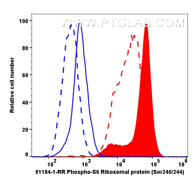 Flow cytometry (FC) experiment of HeLa cells using Phospho-S6 Ribosomal protein (Ser240/244) Recombin (81184-1-RR)