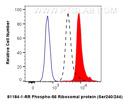 Flow cytometry (FC) experiment of HEK-293 cells using Phospho-S6 Ribosomal protein (Ser240/244) Recombin (81184-1-RR)