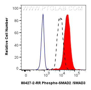 Flow cytometry (FC) experiment of HEK-293 cells using Phospho-SMAD2 (Ser465/467)/SMAD3 (Ser423/425) Reco (80427-2-RR)