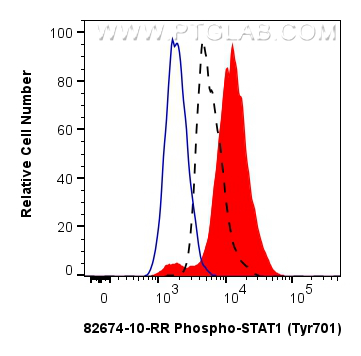 Flow cytometry (FC) experiment of THP-1 cells using Phospho-STAT1 (Tyr701) Recombinant antibody (82674-10-RR)