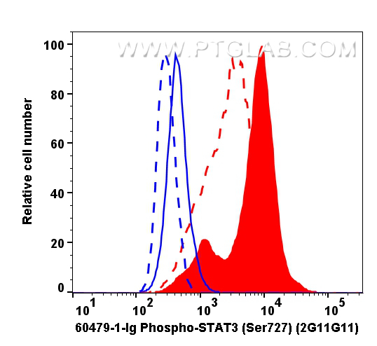 Flow cytometry (FC) experiment of HeLa cells using Phospho-STAT3 (Ser727) Monoclonal antibody (60479-1-Ig)