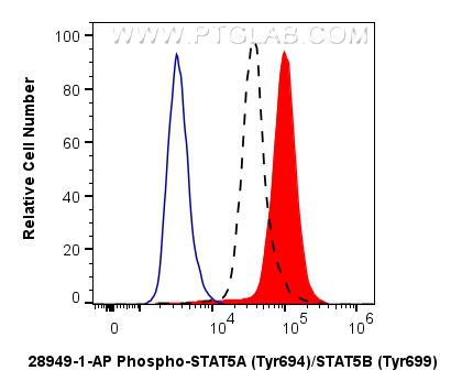 Flow cytometry (FC) experiment of TF-1 cells using Phospho-STAT5A (Tyr694)/STAT5B (Tyr699) Polyclonal (28949-1-AP)