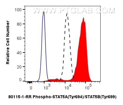 Flow cytometry (FC) experiment of TF-1 cells using Phospho-STAT5A (Tyr694)/STAT5B (Tyr699) Recombinan (80115-1-RR)