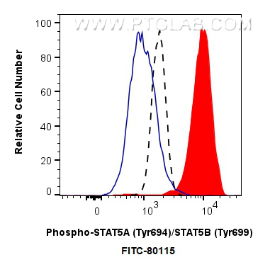 Flow cytometry (FC) experiment of TF-1 cells using FITC-conjugated Phospho-STAT5A (Tyr694)/STAT5B (Ty (FITC-80115)