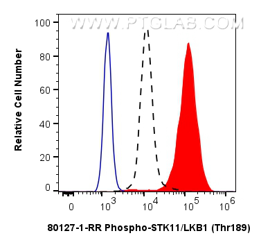 Flow cytometry (FC) experiment of PC-3 cells using Phospho-STK11/LKB1 (Thr189) Recombinant monoclonal (80127-1-RR)