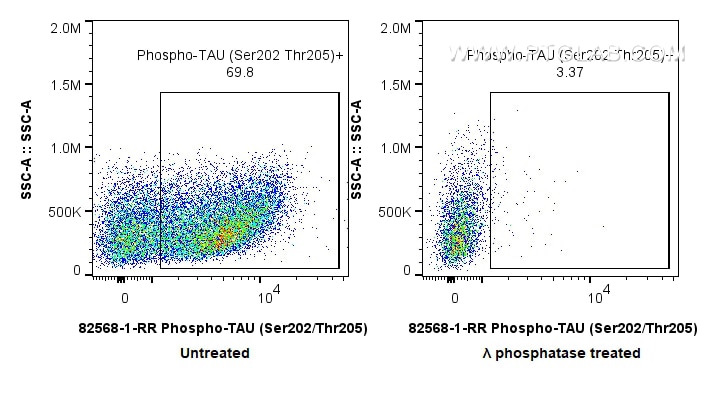 Flow cytometry (FC) experiment of Mouse brain tissue using Phospho-TAU (Ser202/Thr205) Recombinant monoclonal (82568-1-RR)