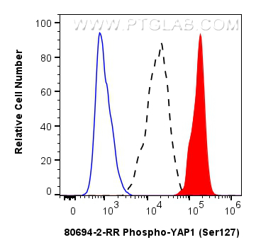 Flow cytometry (FC) experiment of HepG2 cells using Phospho-YAP1 (Ser127) Recombinant antibody (80694-2-RR)