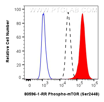 Flow cytometry (FC) experiment of HEK-293 cells using Phospho-mTOR (Ser2448) Recombinant antibody (80596-1-RR)