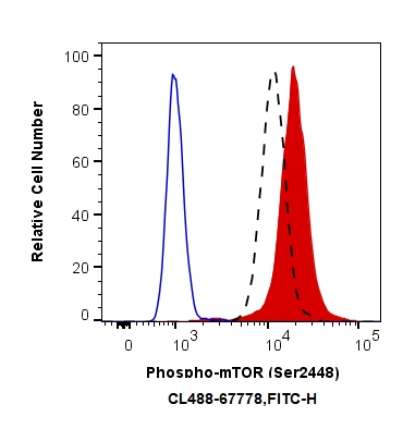 Flow cytometry (FC) experiment of HeLa cells using CoraLite® Plus 488-conjugated Phospho-mTOR (Ser244 (CL488-67778)