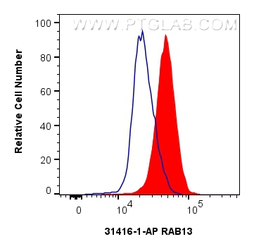 Flow cytometry (FC) experiment of K-562 cells using RAB13 Polyclonal antibody (31416-1-AP)