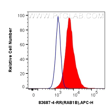 Flow cytometry (FC) experiment of U-251 cells using RAB1B Recombinant antibody (83687-4-RR)