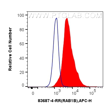 Flow cytometry (FC) experiment of HeLa cells using RAB1B Recombinant antibody (83687-4-RR)