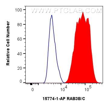 Flow cytometry (FC) experiment of HepG2 cells using RAB3B/C Polyclonal antibody (15774-1-AP)