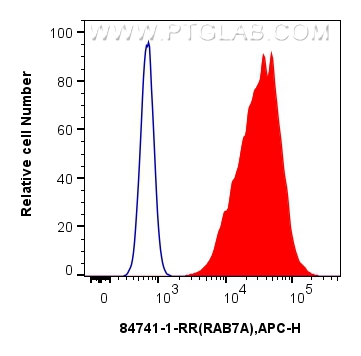 Flow cytometry (FC) experiment of A431 cells using RAB7A Recombinant antibody (84741-1-RR)